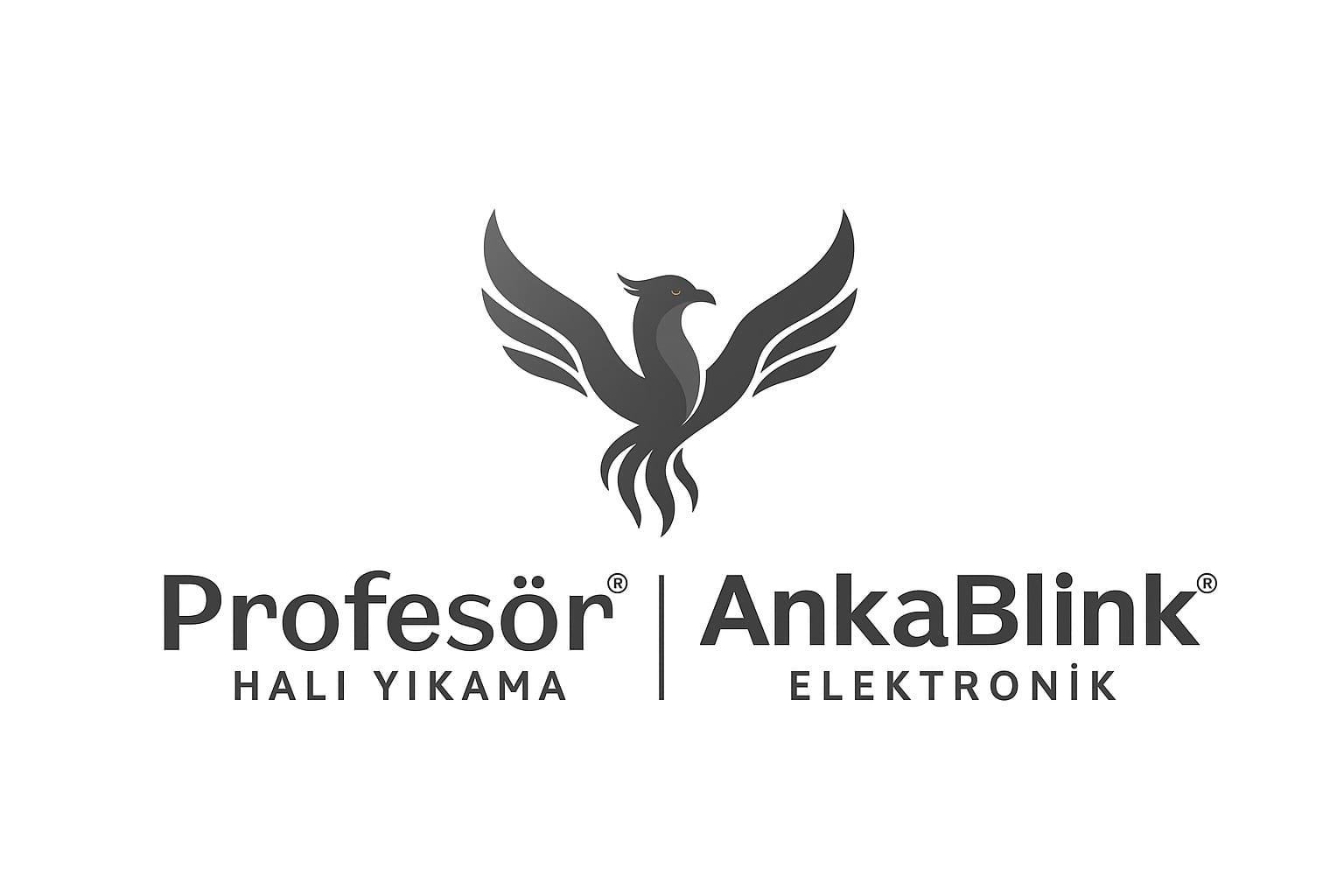  LET M AnkaBlink Elektronik G venlik Kamera Siren Ve akar 